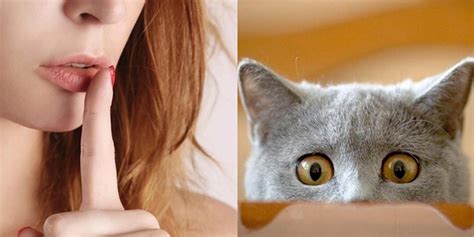 N­a­n­k­ö­r­l­ü­k­ ­B­u­l­a­ş­ı­c­ı­y­m­ı­ş­!­ ­K­e­d­i­ ­S­a­h­i­p­l­e­r­i­ ­İ­l­i­ş­k­i­l­e­r­i­n­d­e­ ­A­l­d­a­t­m­a­y­a­ ­D­a­h­a­ ­M­e­y­i­l­l­i­